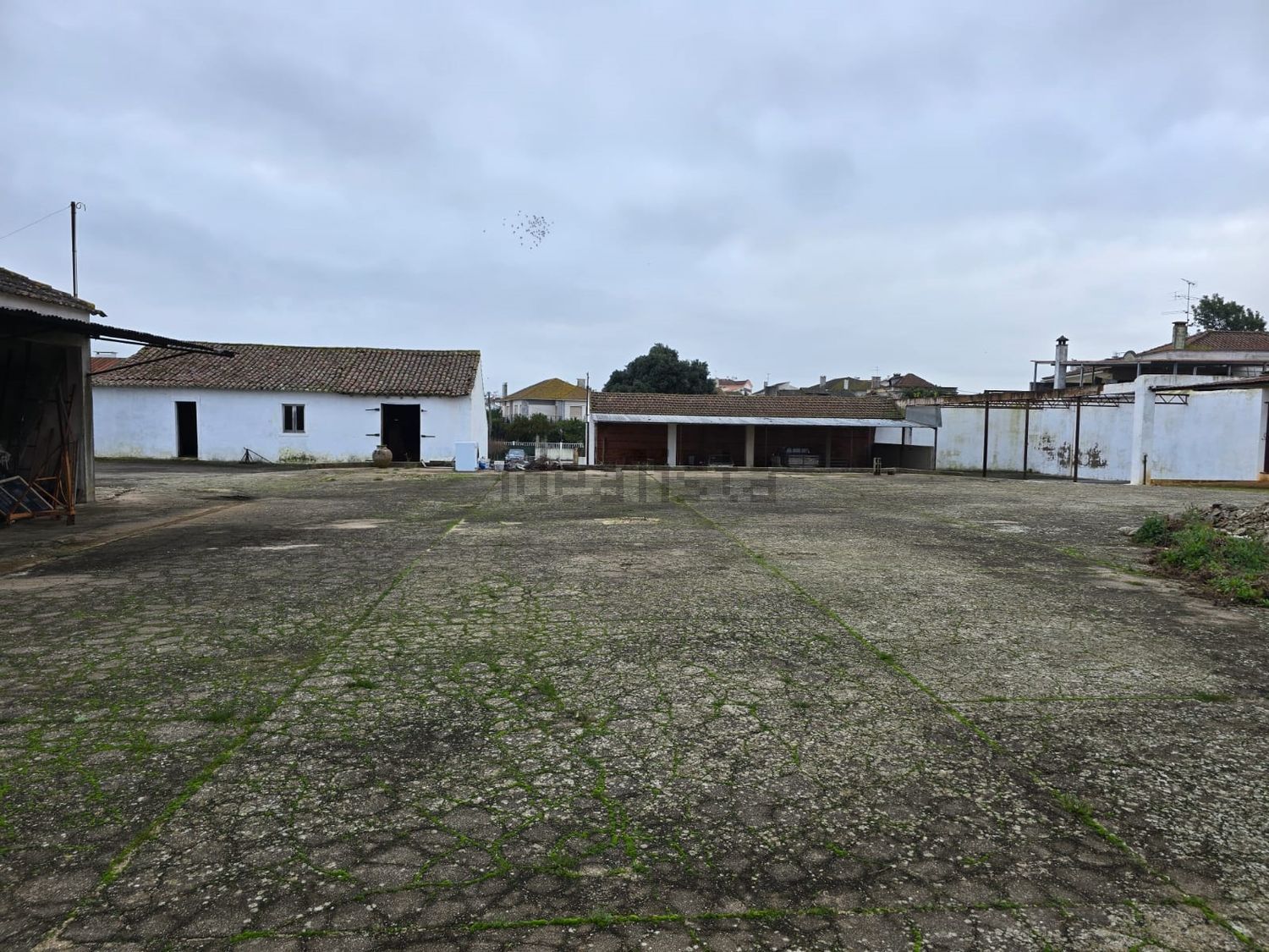 庄园出售在Riachos - 外立面