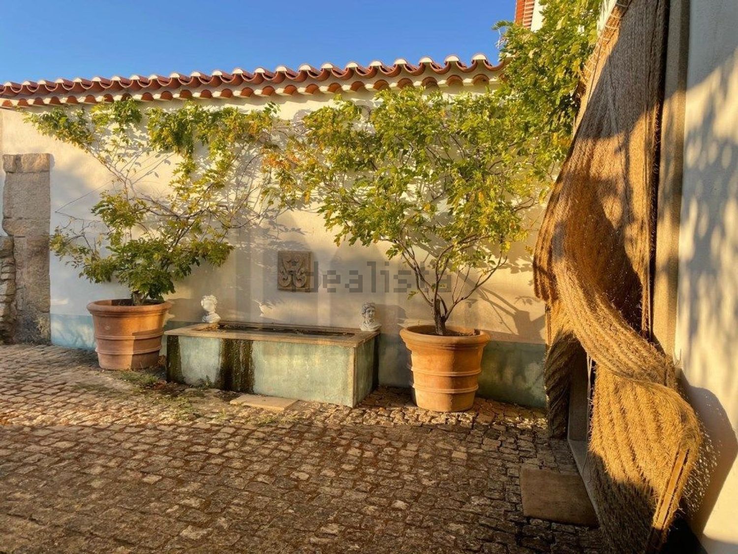 庄园出售在Castelo Branco - 外立面