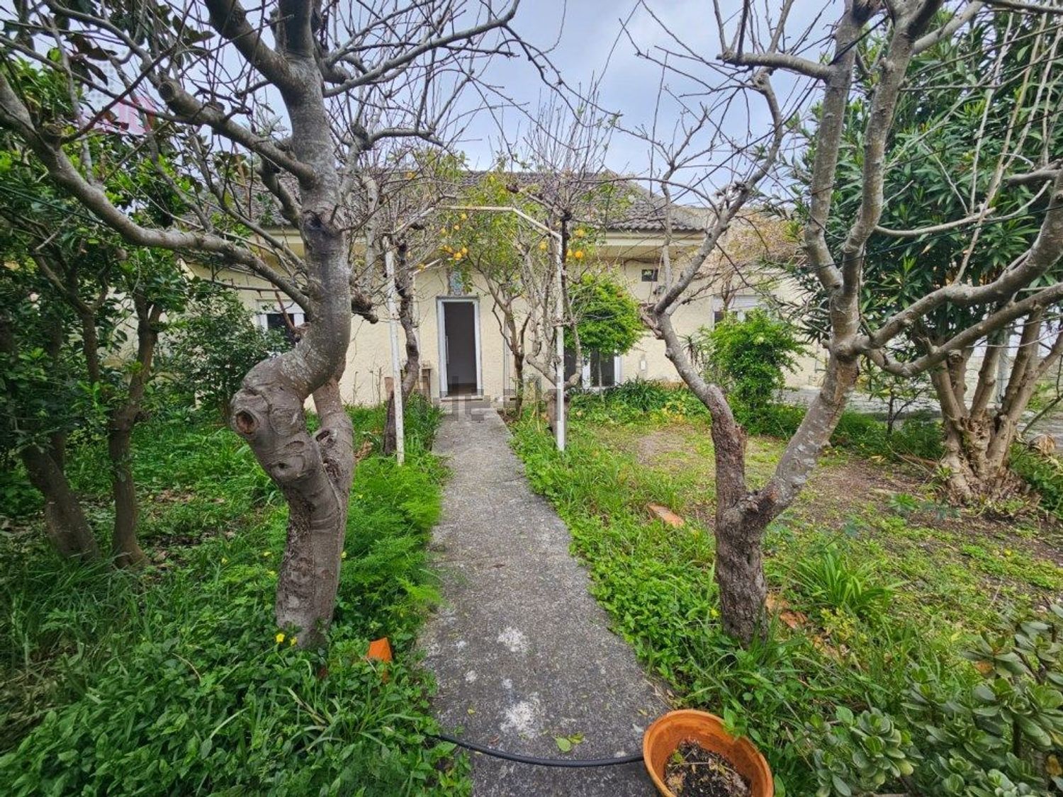 出租小楼房或独栋别墅在Centro da Quinta do Conde - 花园