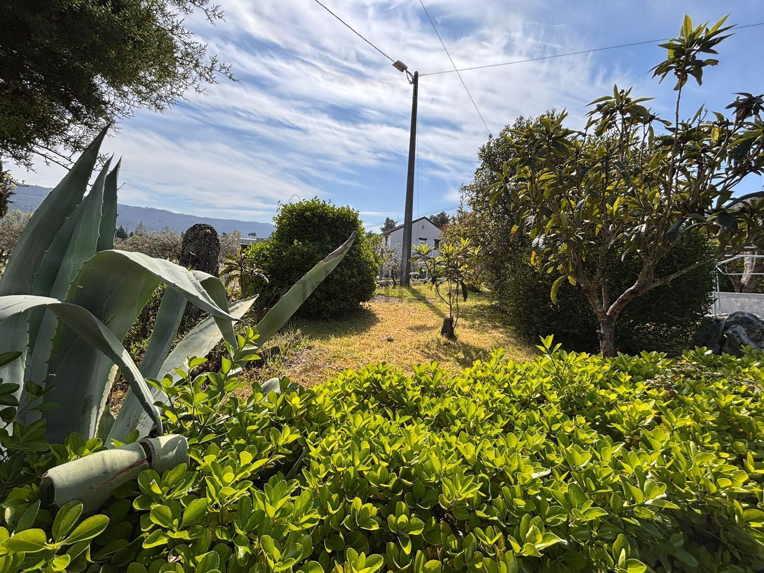 小楼房或独栋别墅出售N16 - 花园