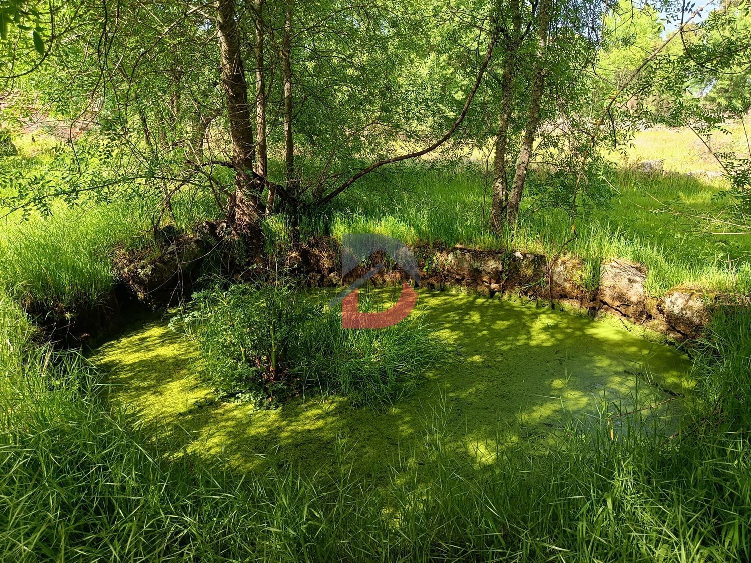 庄园出售在Póvoa de Rio de Moinhos e Cafede - 花园