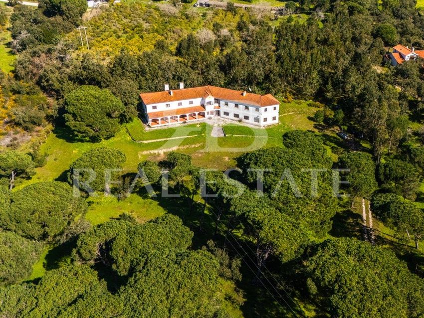 庄园出售在Rua Fonte de Sesimbra