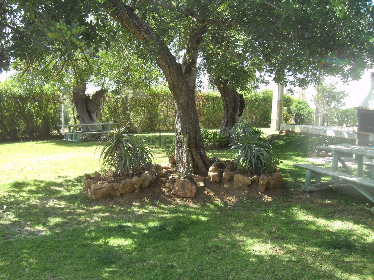 出租公寓 t1Tavira Garden, 21 Lote - 花园