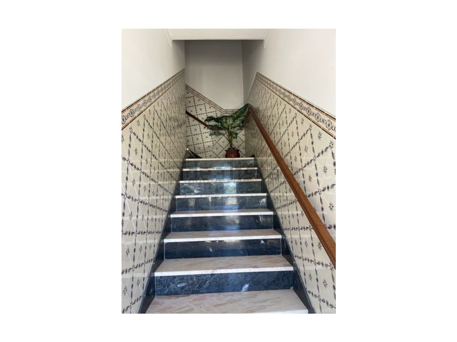 出租小楼房或独栋别墅在Centro Histórico - 详情