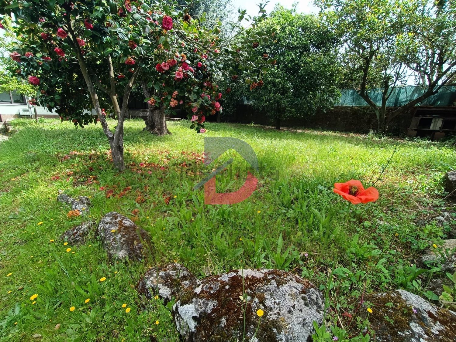 小楼房或独栋别墅出售在Castelo Branco - 花园