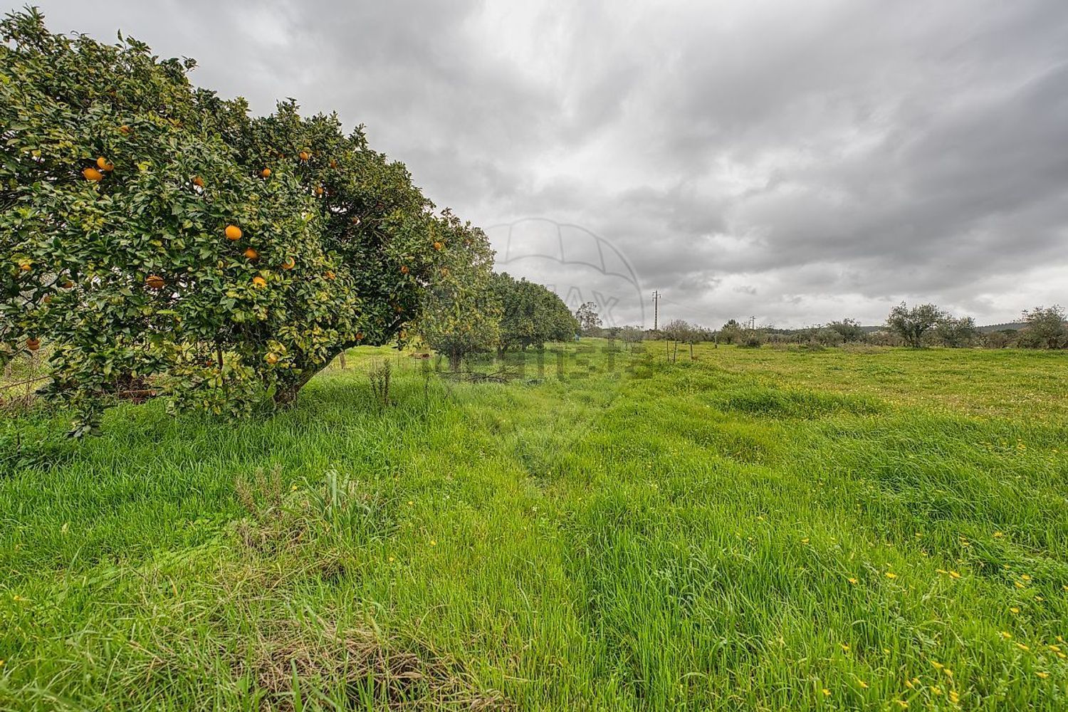 小楼房或独栋别墅出售在Vale de Cavalos - 花园