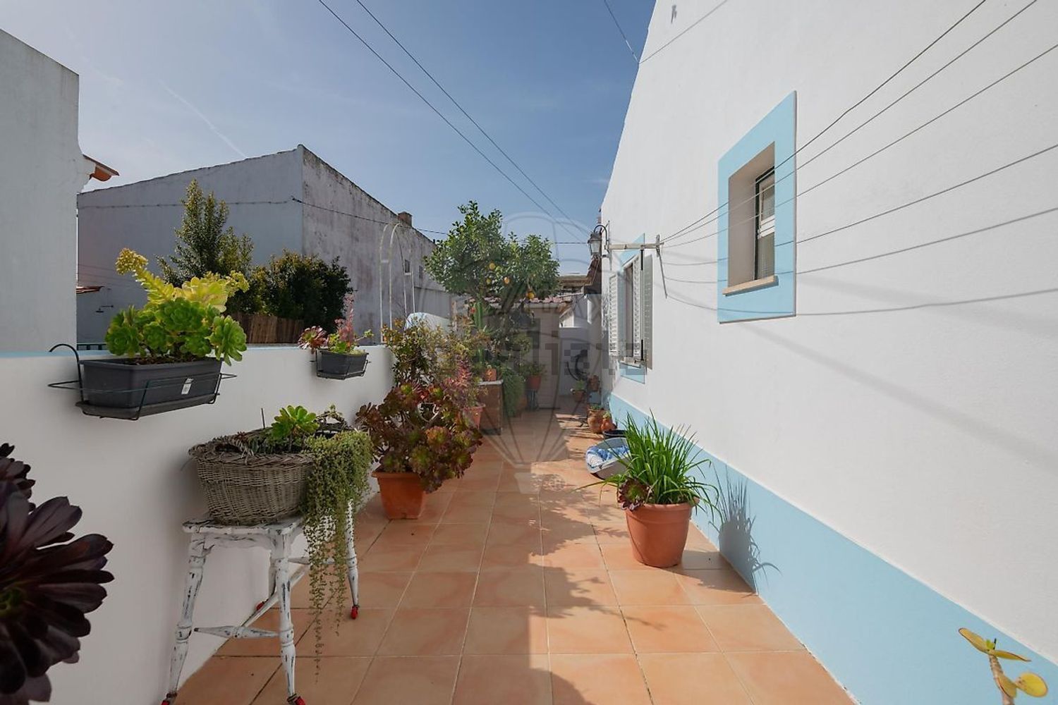 小楼房或独栋别墅出售在Vila Nova de Milfontes - 外立面