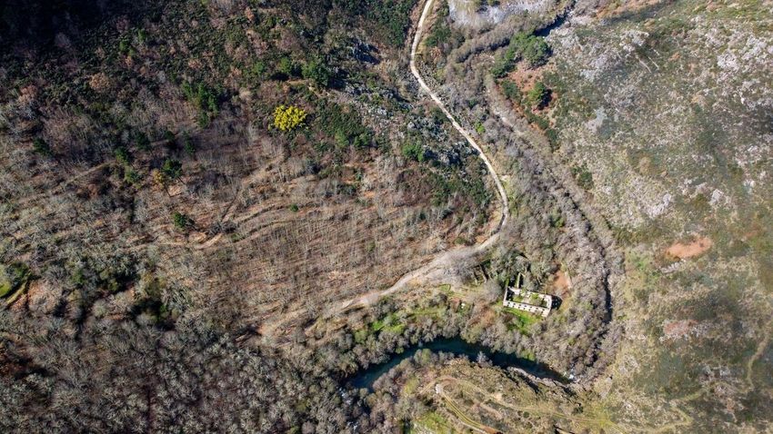 庄园出售在Rua Direita