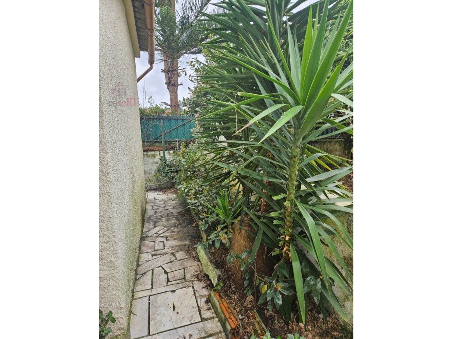 出租小楼房或独栋别墅在Centro da Quinta do Conde - 花园