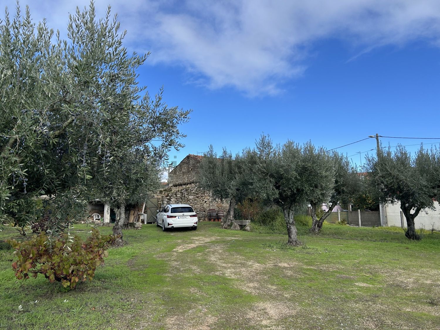 庄园出售Barão das Casas Novas, 1 - 花园