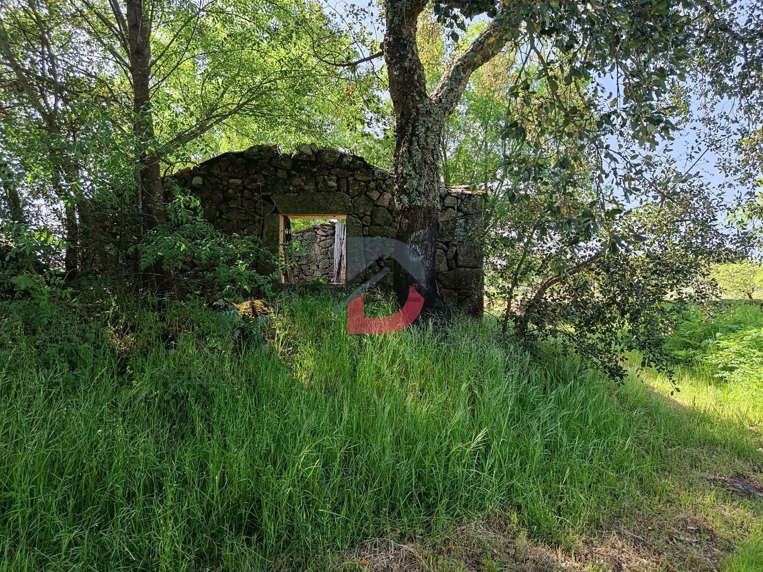 庄园出售在Póvoa de Rio de Moinhos e Cafede - 花园