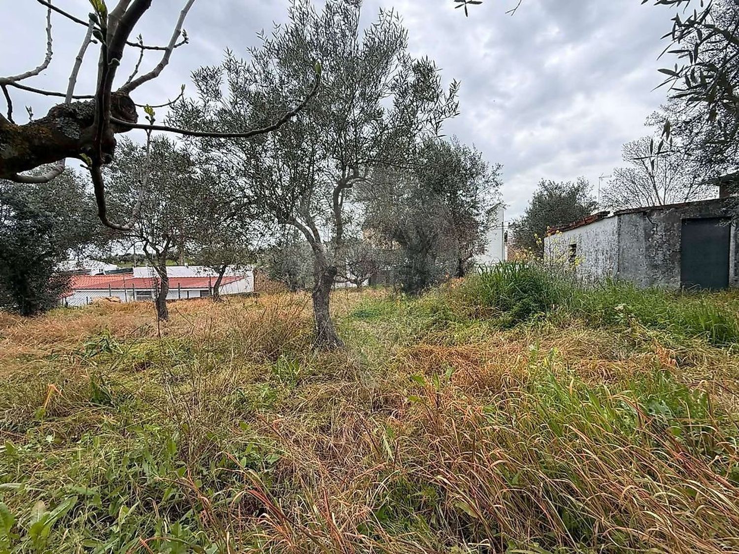 小楼房或独栋别墅出售在Rua de Elvas - 花园