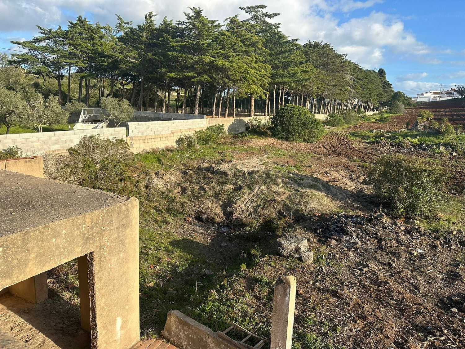 小楼房或独栋别墅出售在Praia da Luz - 花园