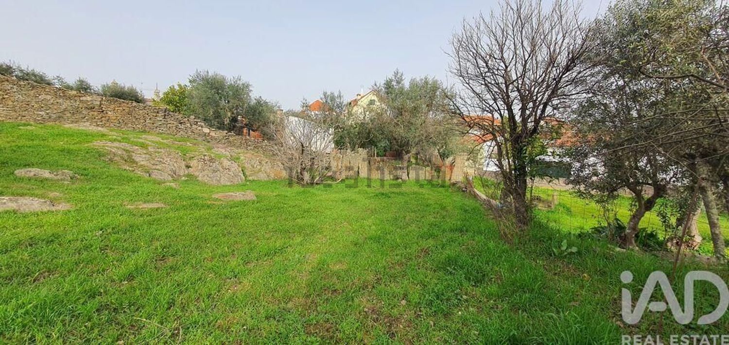 小楼房或独栋别墅出售在Castelo Branco - 周边