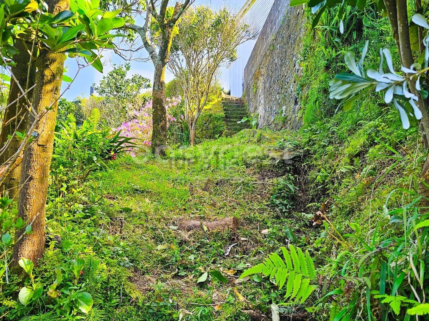 双拼别墅出售在Ponta Delgada (São Sebastião) - 花园