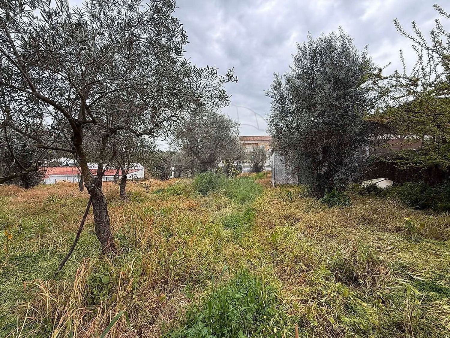 小楼房或独栋别墅出售在Rua de Elvas - 花园