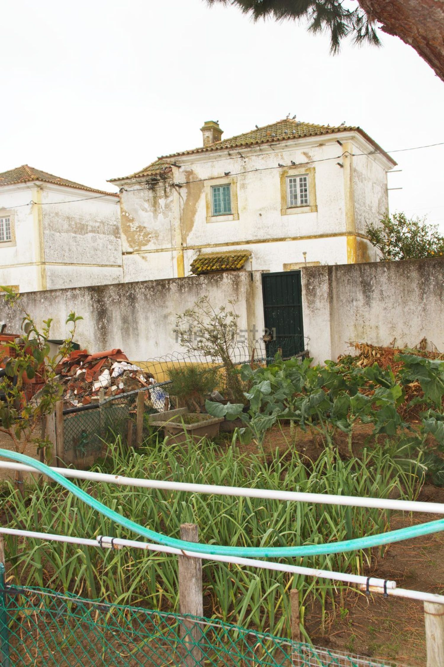 小楼房或独栋别墅出售在Rua Catarina Eufémia, 72 - 外立面