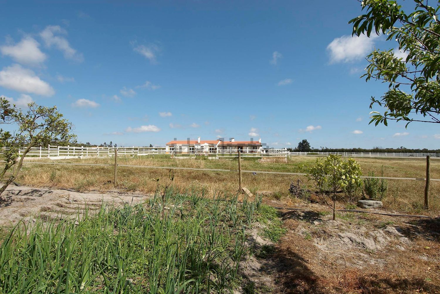 小楼房或独栋别墅出售在Vila Nova de Milfontes - 花园