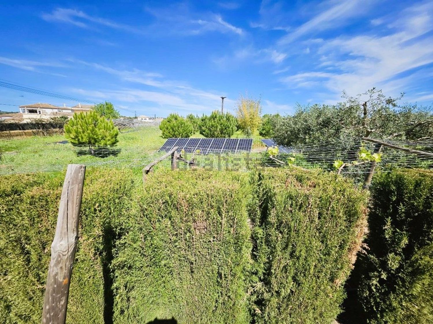 出租小楼房或独栋别墅在Luz de Tavira e Santo Estêvão - 花园