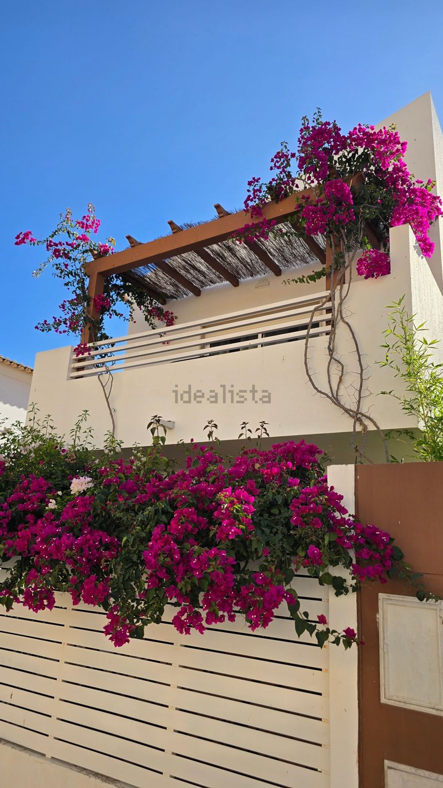 出租小楼房或独栋别墅在Rua Dom Jerónimo Osório - 照片