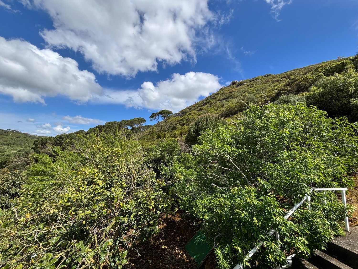 小楼房或独栋别墅出售在Rua da Bela Vista s/n - 视线