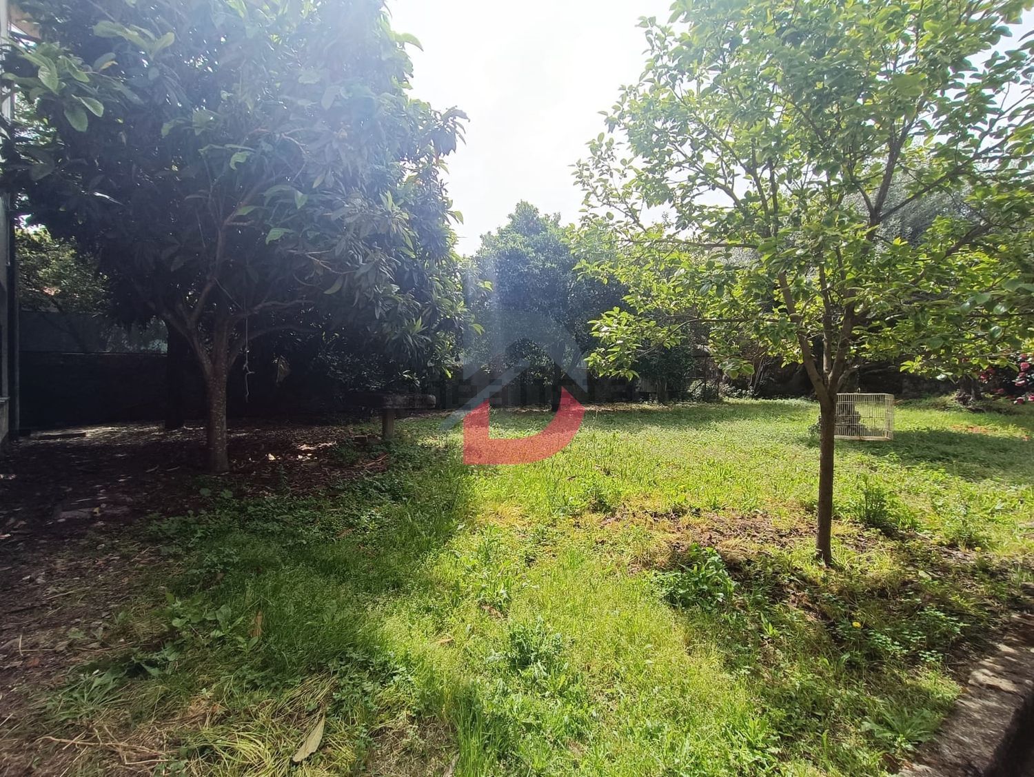 小楼房或独栋别墅出售在Castelo Branco - 花园