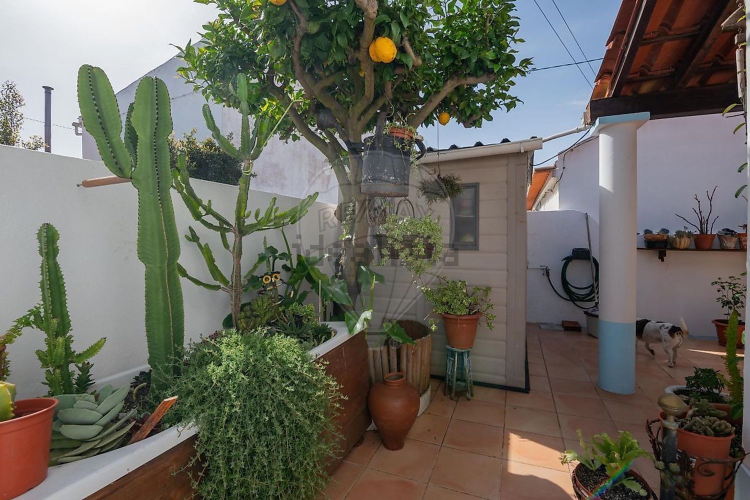 小楼房或独栋别墅出售在Vila Nova de Milfontes - 阳台