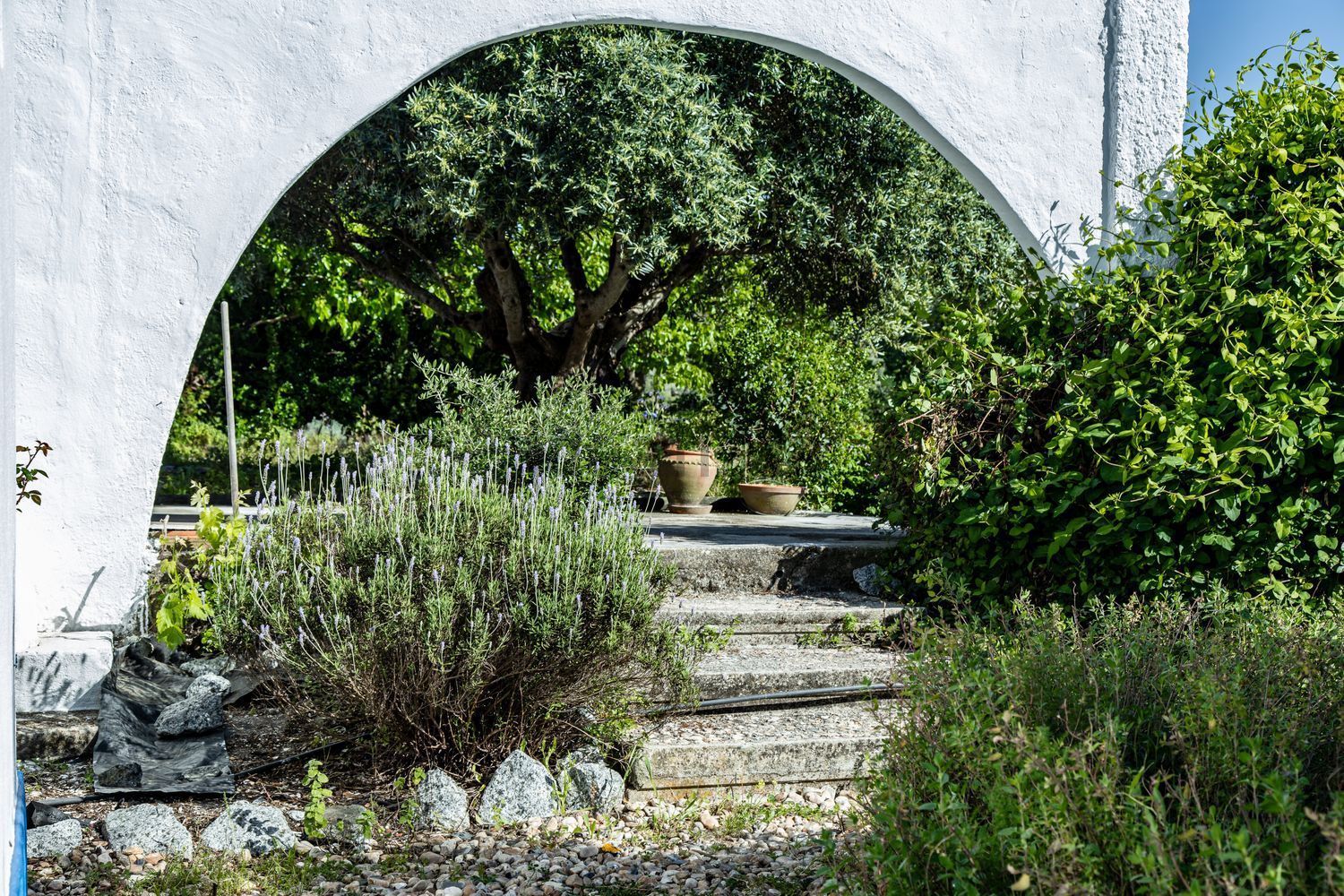 阿连特茹山出售在Estrada Sem Nome s/n - 花园