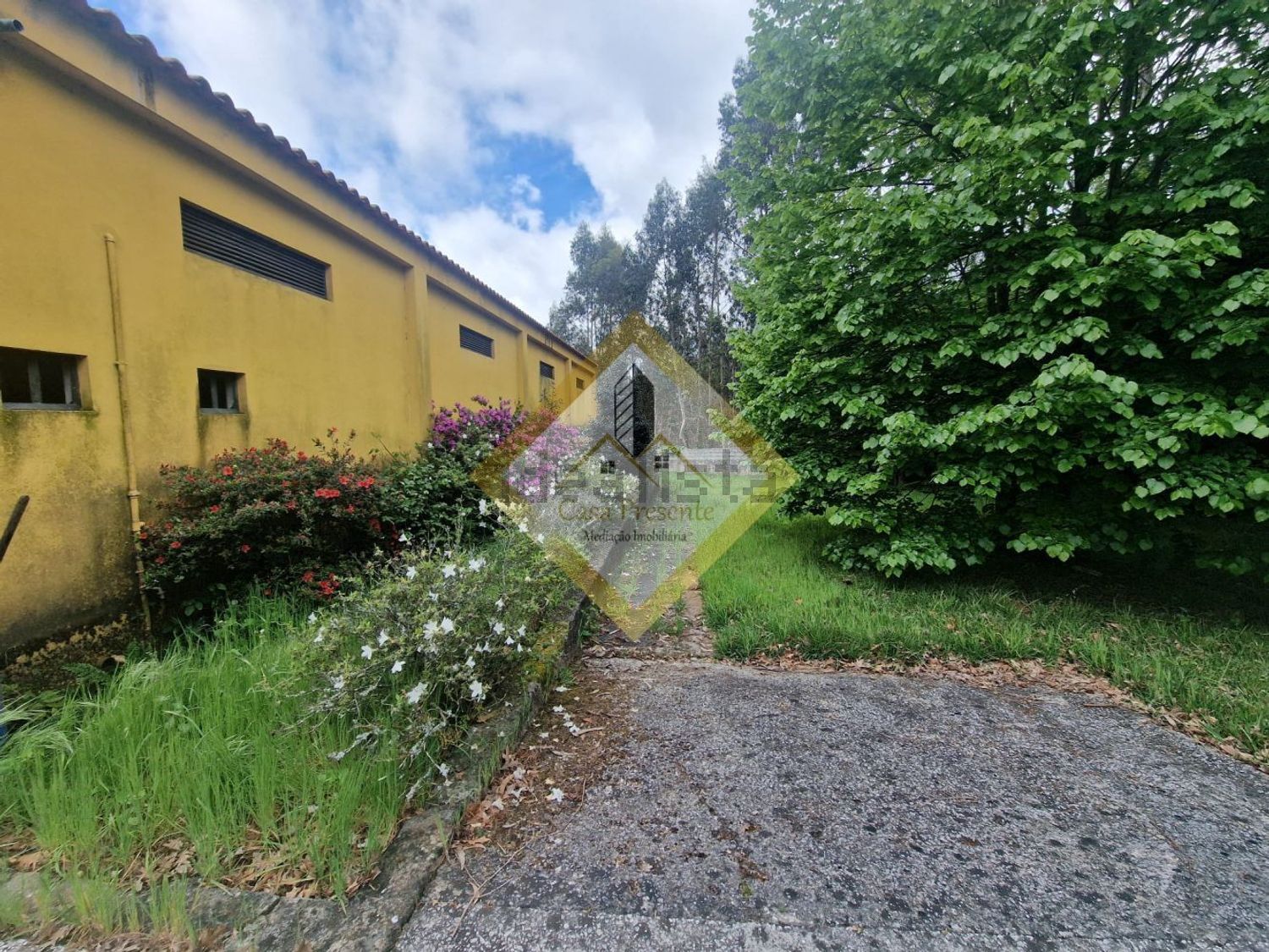 庄园出售在Canedo - 外立面