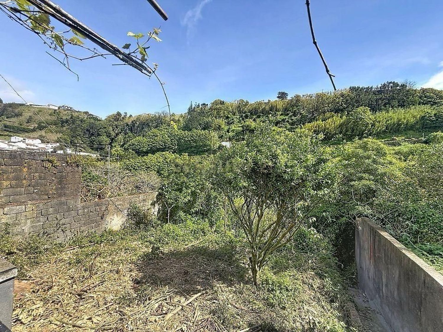 小楼房或独栋别墅出售在Bairro da Caridade, 19 - 花园