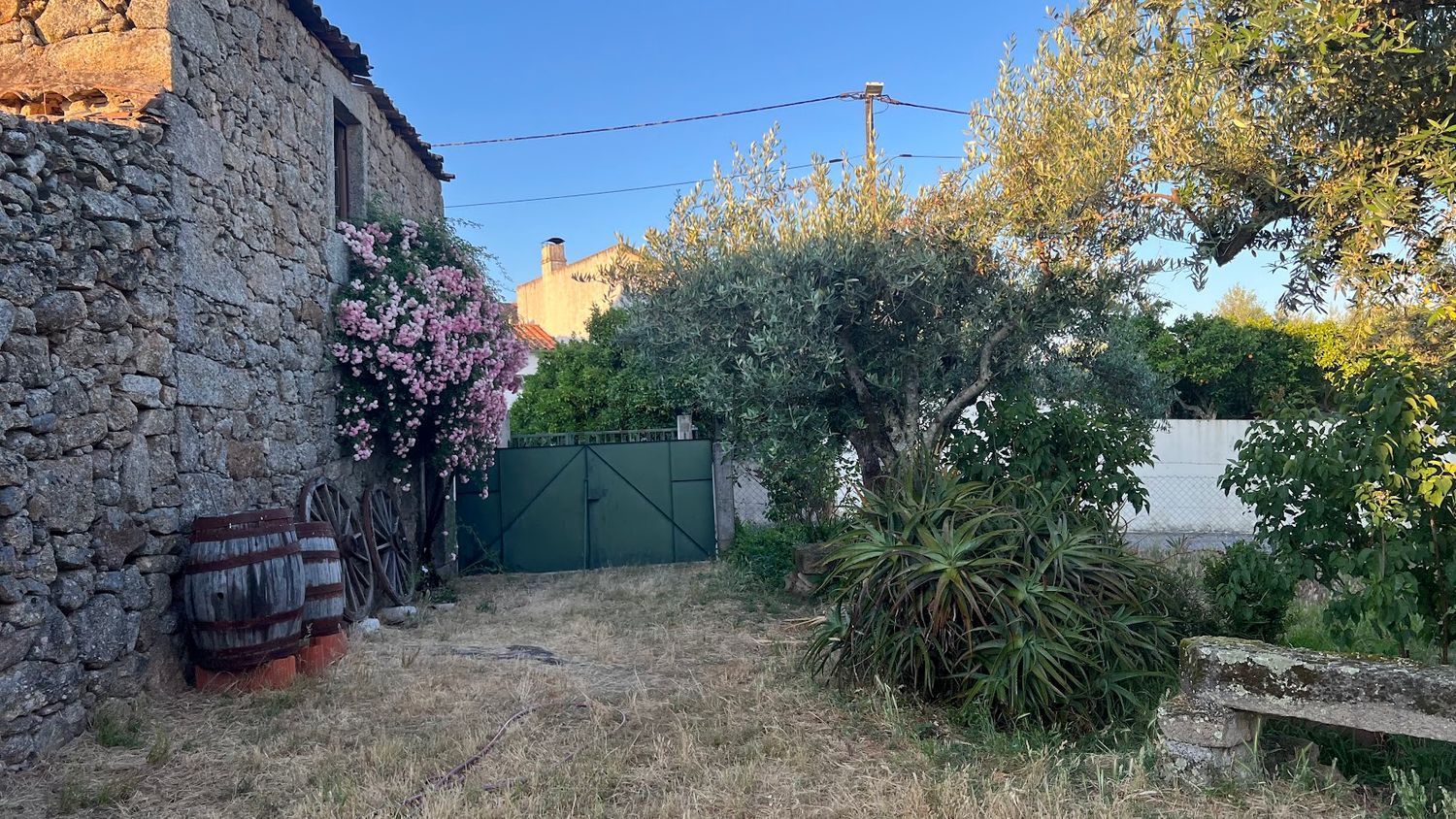 庄园出售Barão das Casas Novas, 1 - 花园