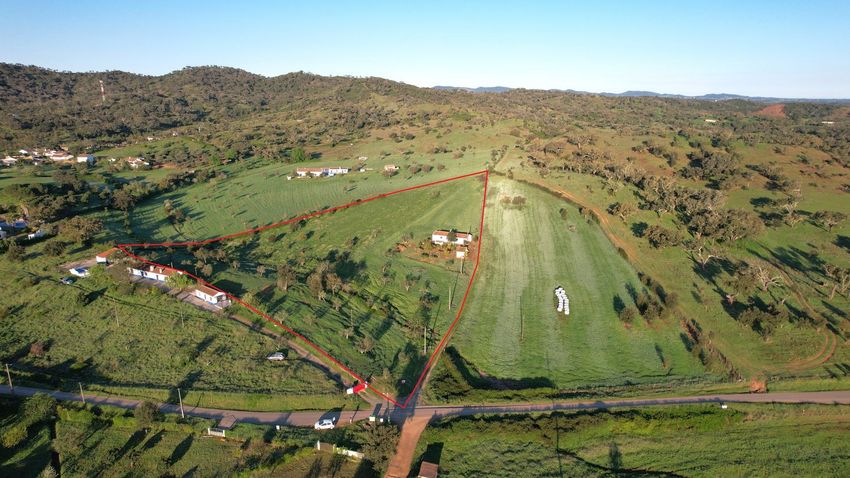 庄园出售Ribeira de Seissal de Baixo