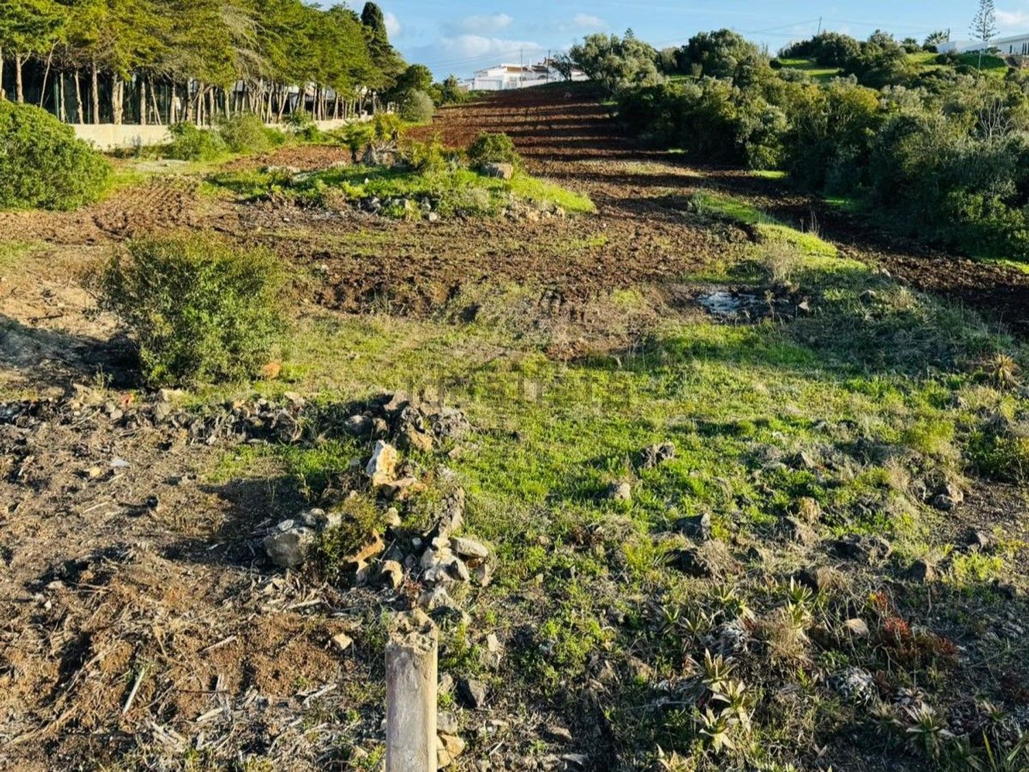 小楼房或独栋别墅出售在Praia da Luz - 花园