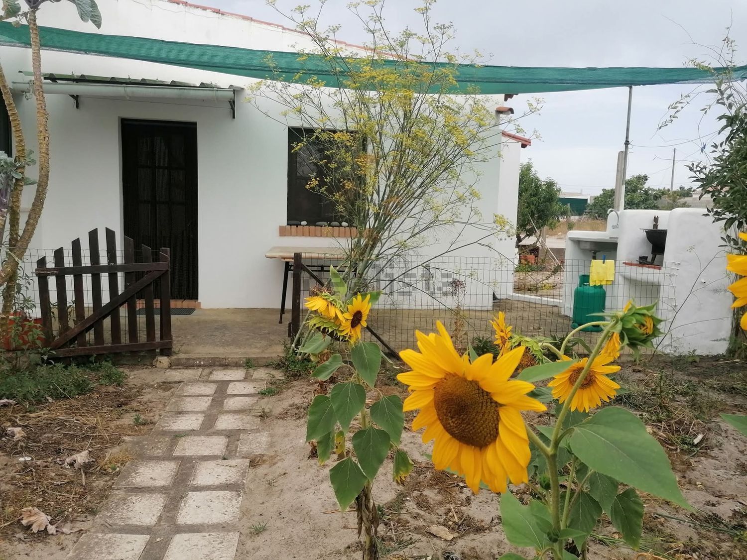 出租公寓 t1Vila Nova de Milfontes, 235 - 视线