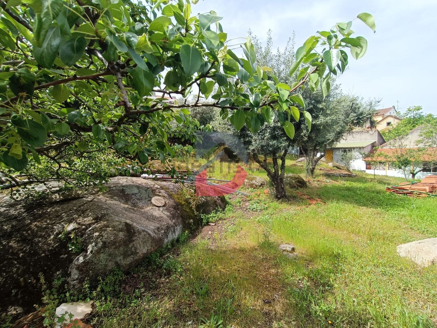 小楼房或独栋别墅出售在Castelo Branco - 花园