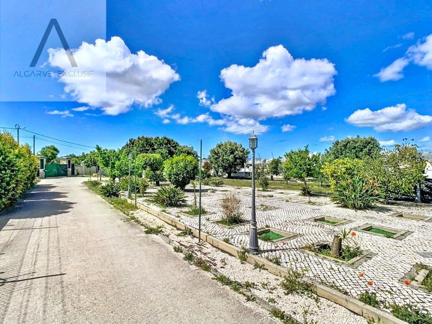 小楼房或独栋别墅出售在Largo da Mota - 花园