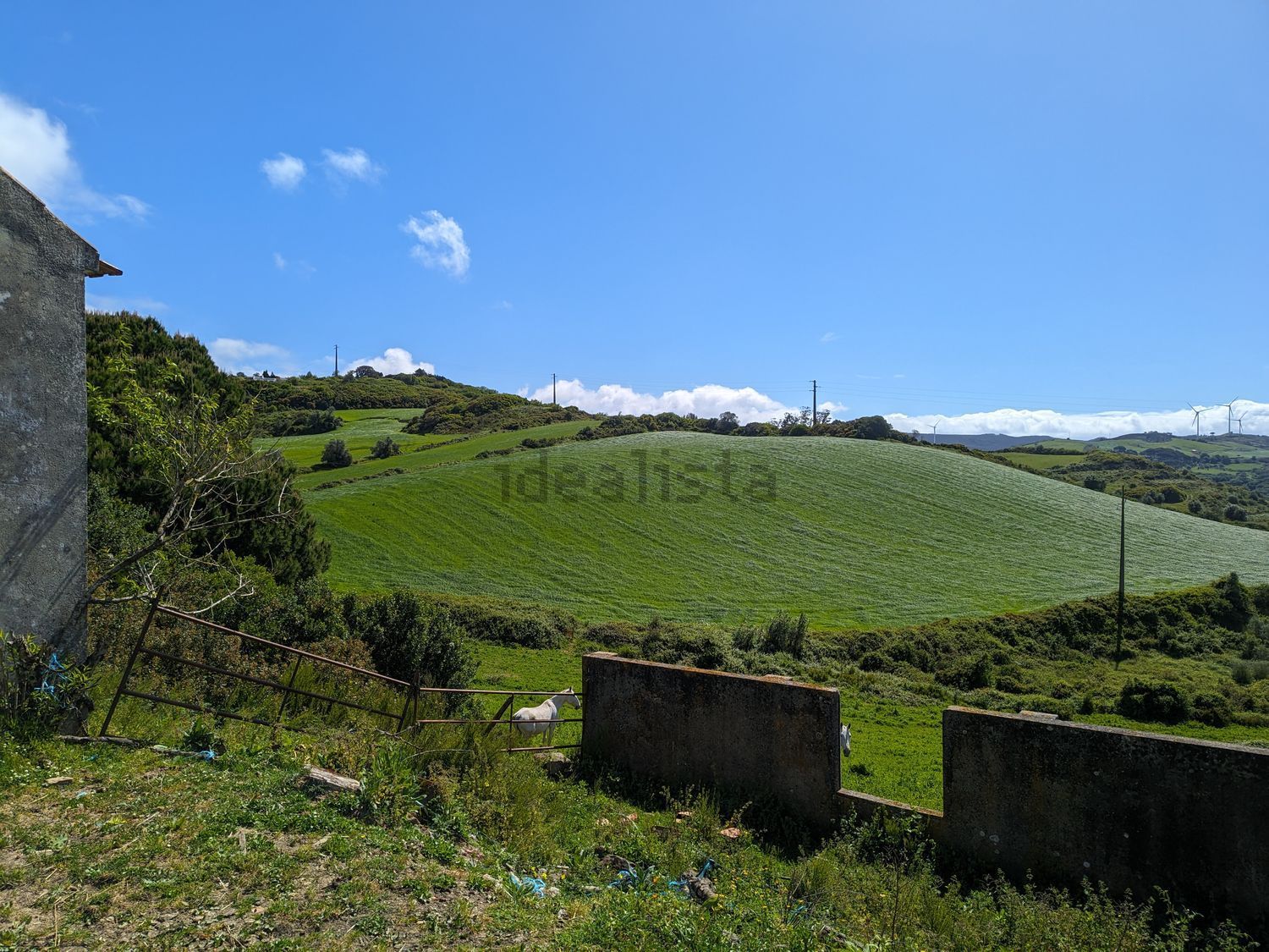 庄园出售在Rua Da Fonte Boa s/n - 视线