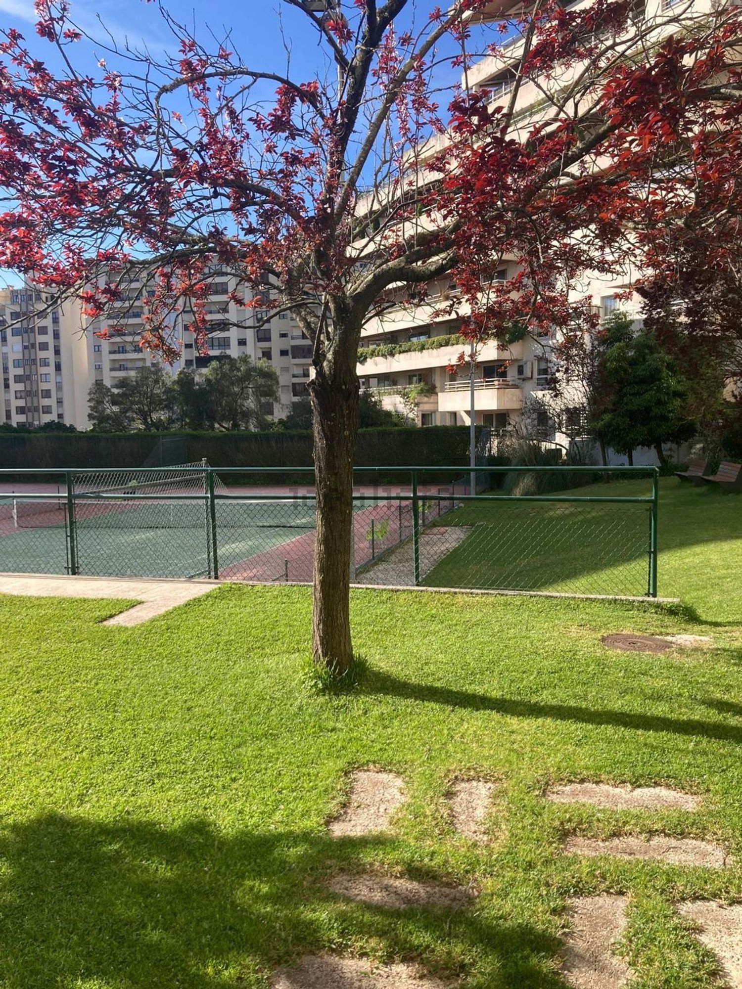 出租公寓 t1在Rua Doutor António Loureiro Borges, 8 - 花园