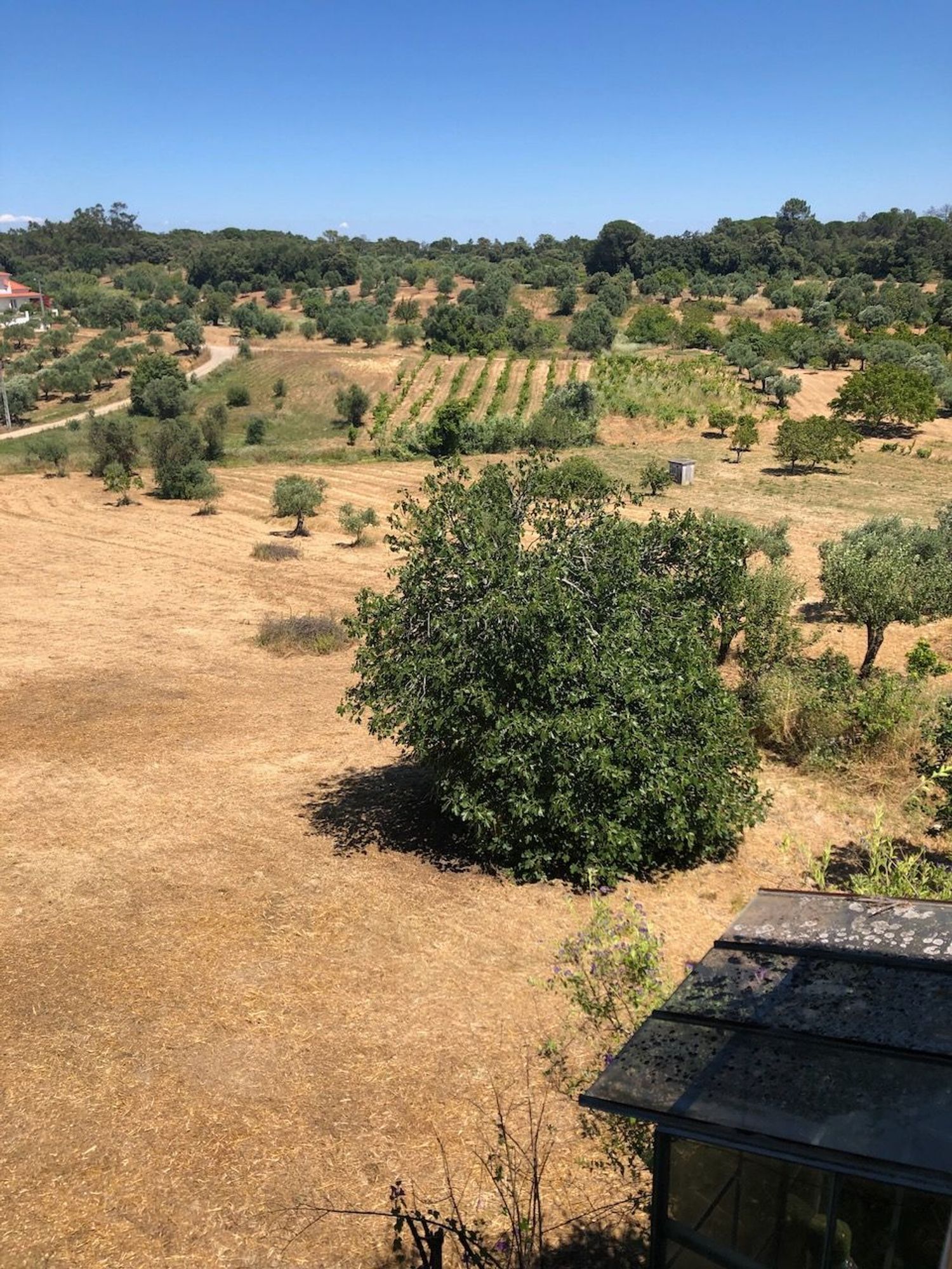 出租小楼房或独栋别墅在Rua Oliveira da Cruz, 15 - 视线
