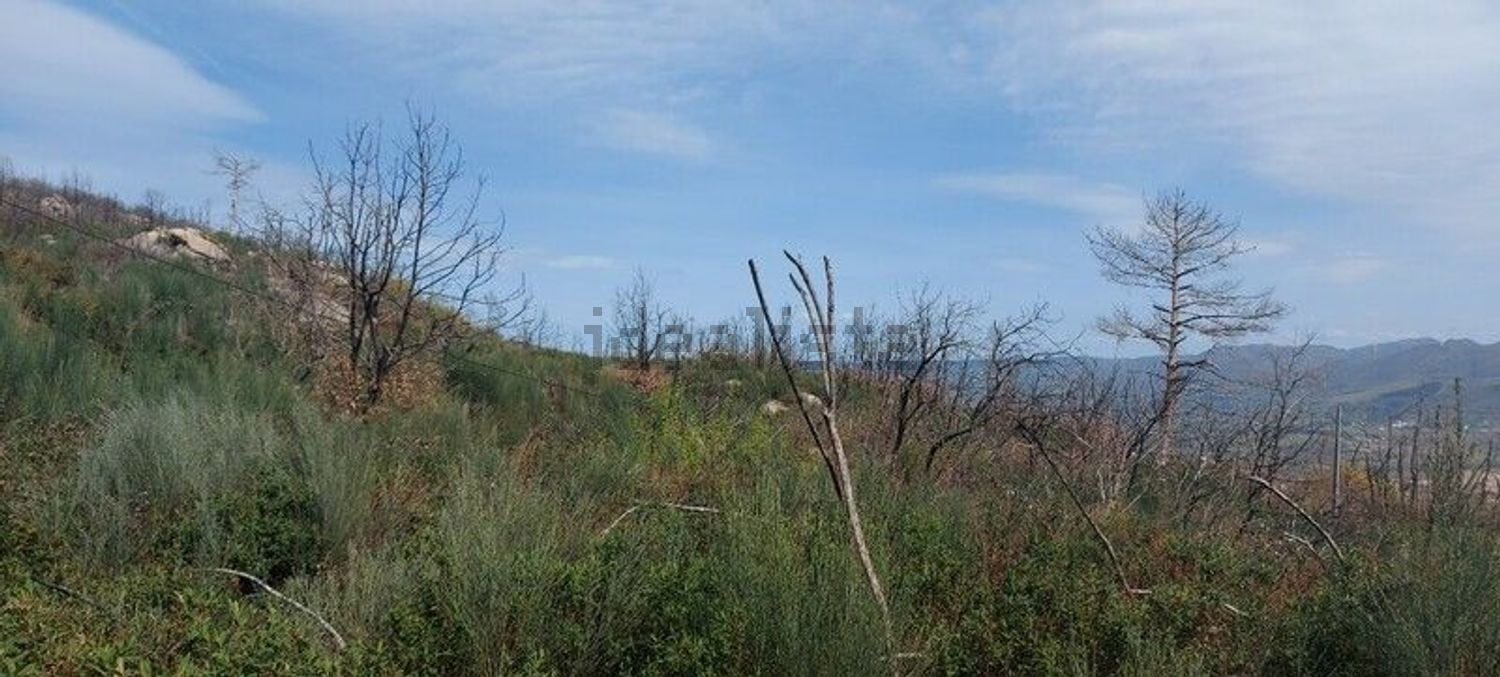 小楼房或独栋别墅出售在Gonçalo - 花园