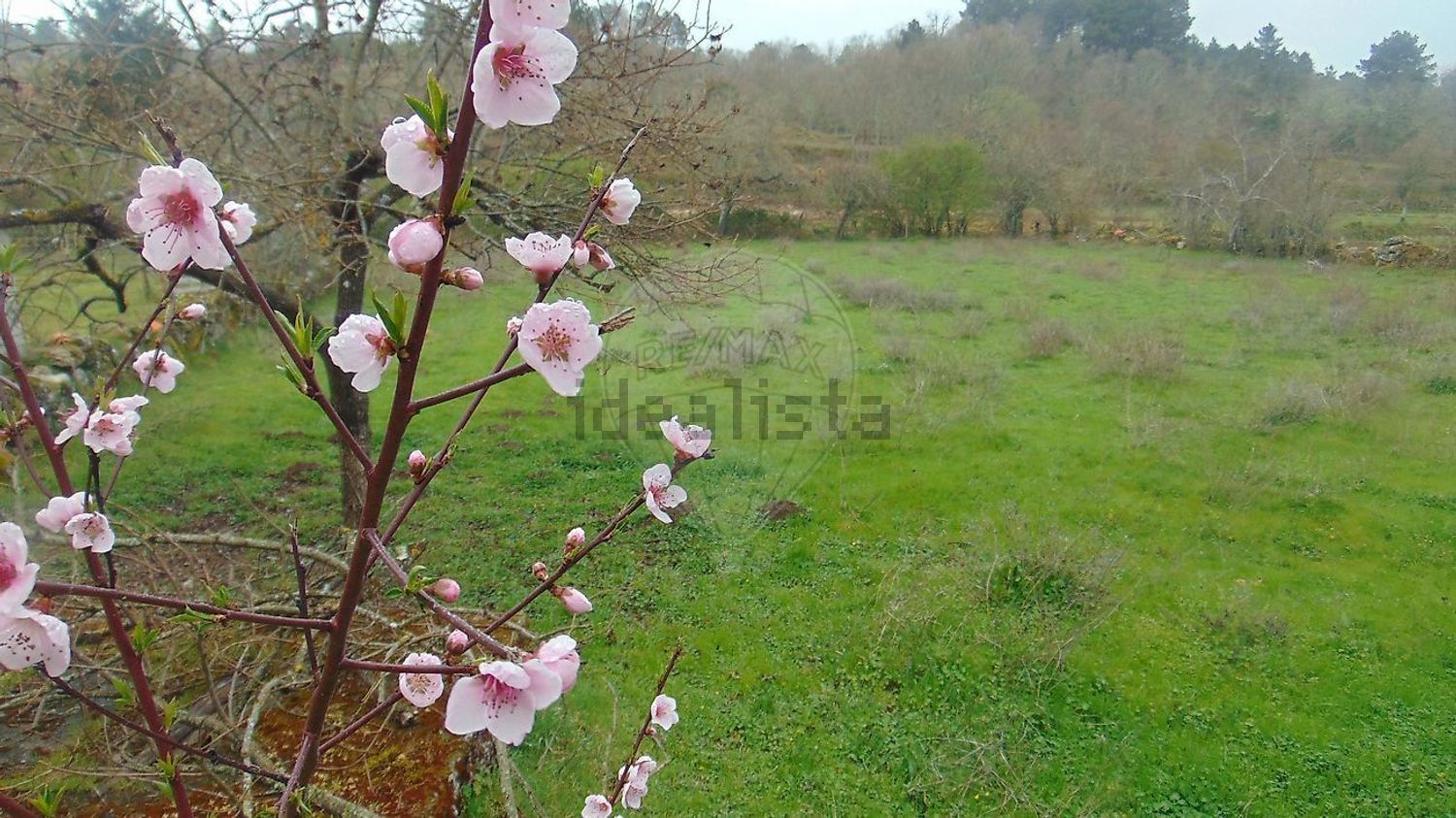小楼房或独栋别墅出售在Rua do Chafariz - 花园