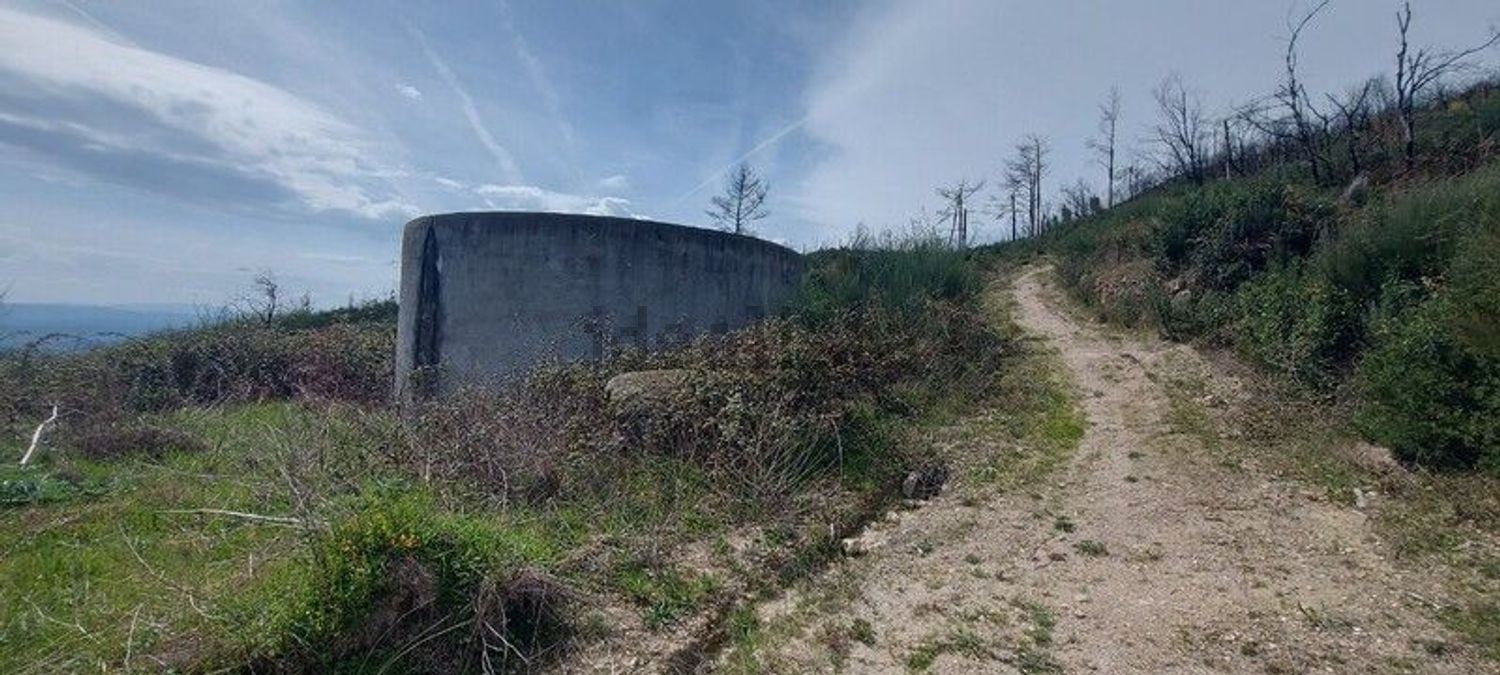 小楼房或独栋别墅出售在Gonçalo - 花园
