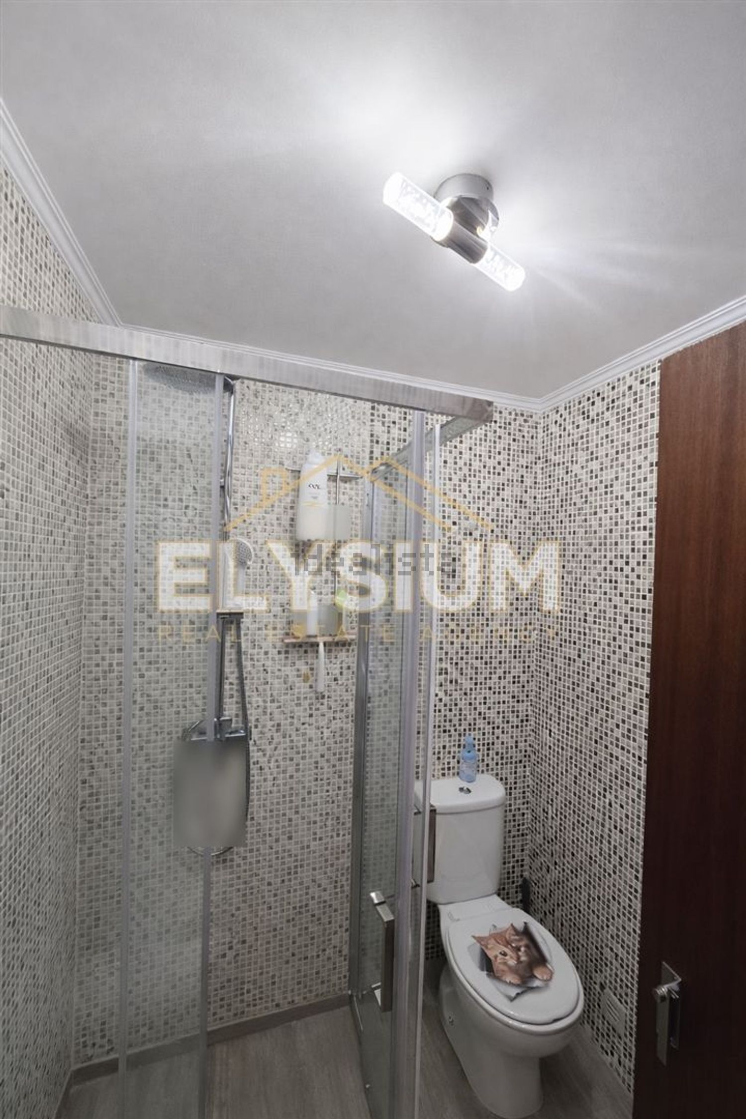 小楼房或独栋别墅出售在Rua Visconde Barroso, 11 - 卫生间