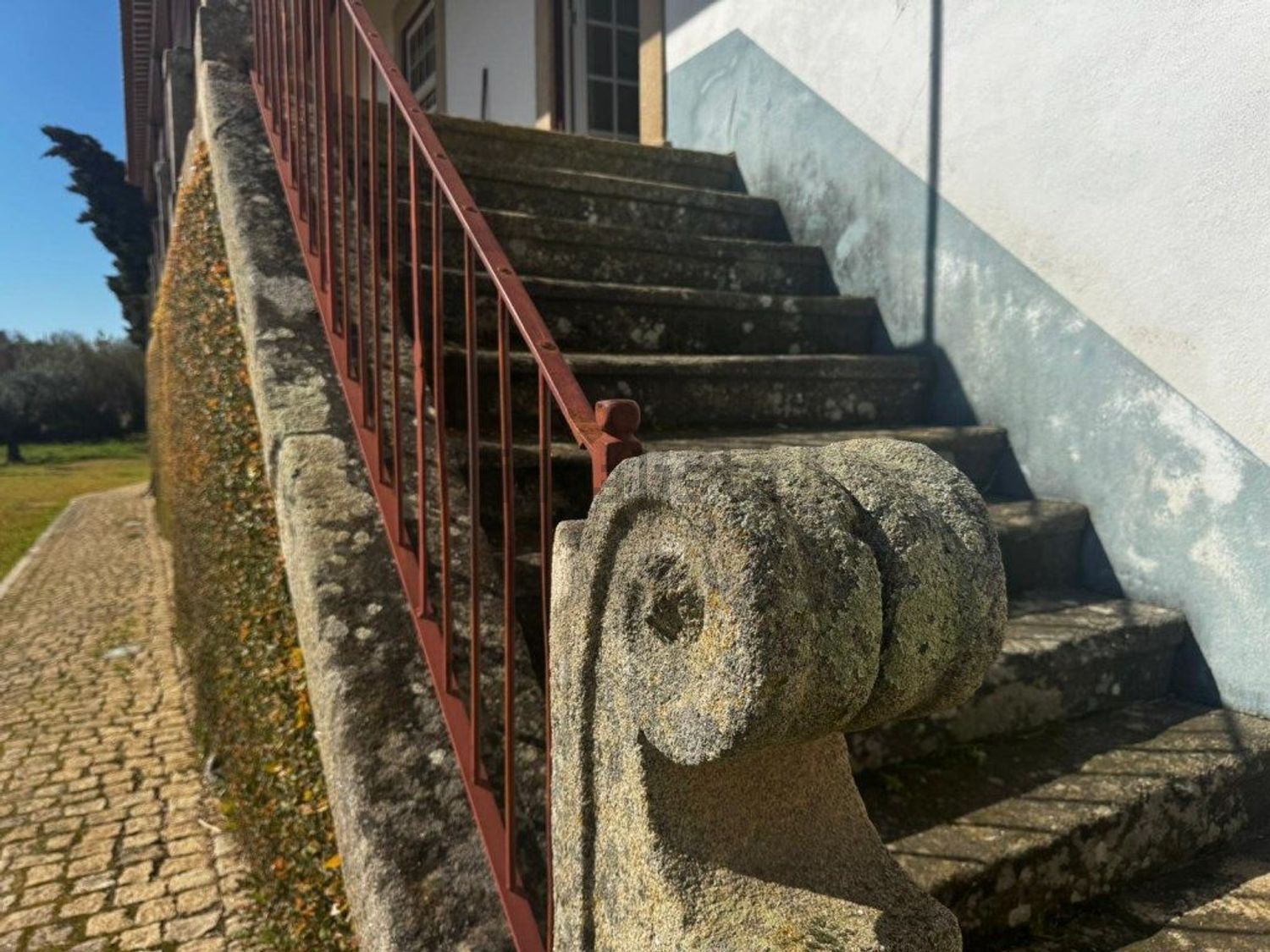 庄园出售在Castelo Branco - 详情