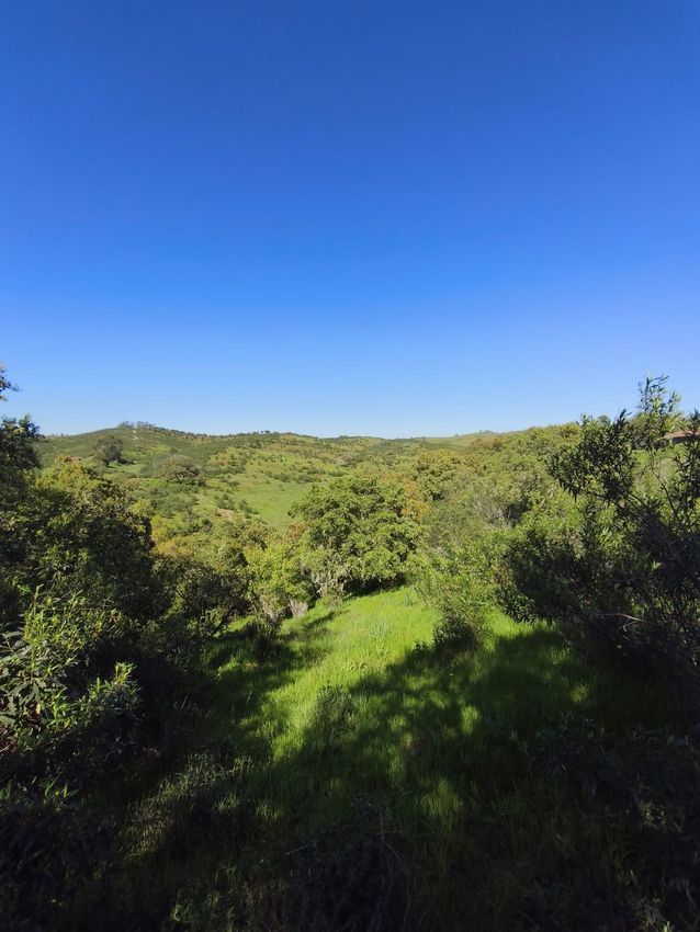 阿连特茹山出售Ourique, Portela de Lobo, Courela Casa Branca s/n