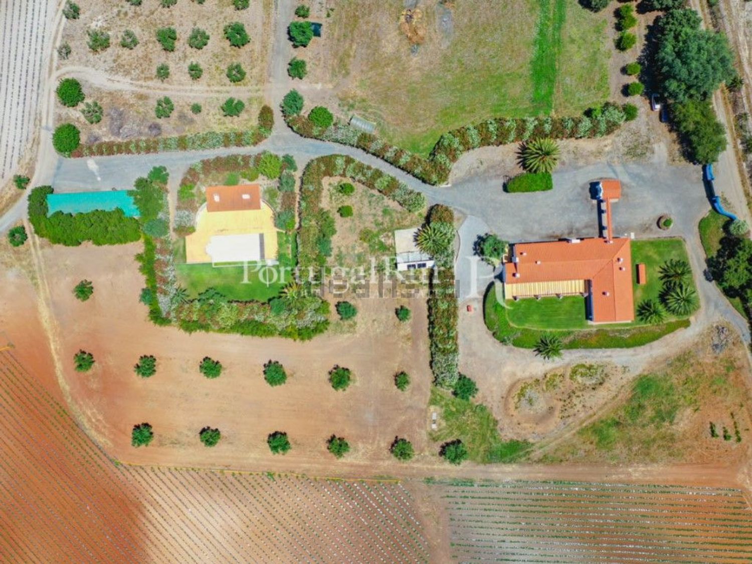 农庄出售在Ferreira do Alentejo - 照片