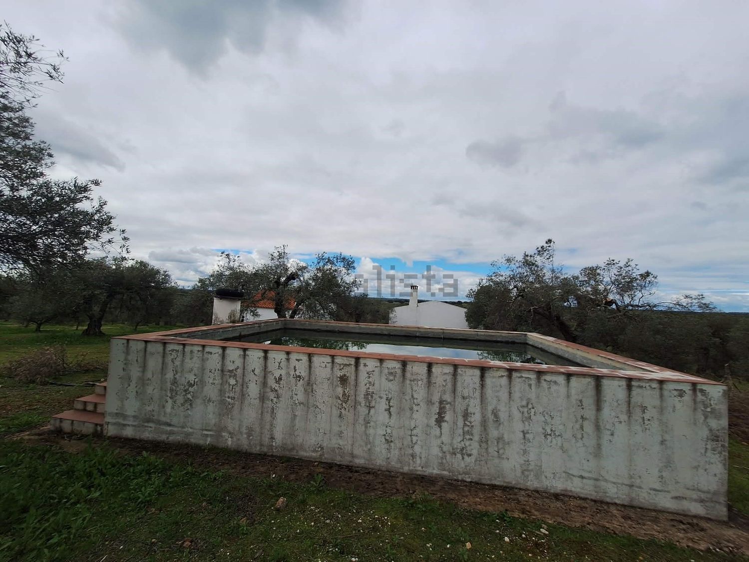 庄园出售在Vila Verde de Ficalho - 花园