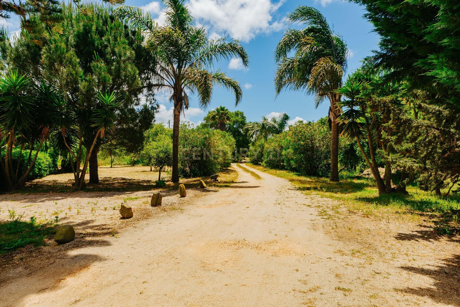 小楼房或独栋别墅出售在Avenida do Mar - 花园