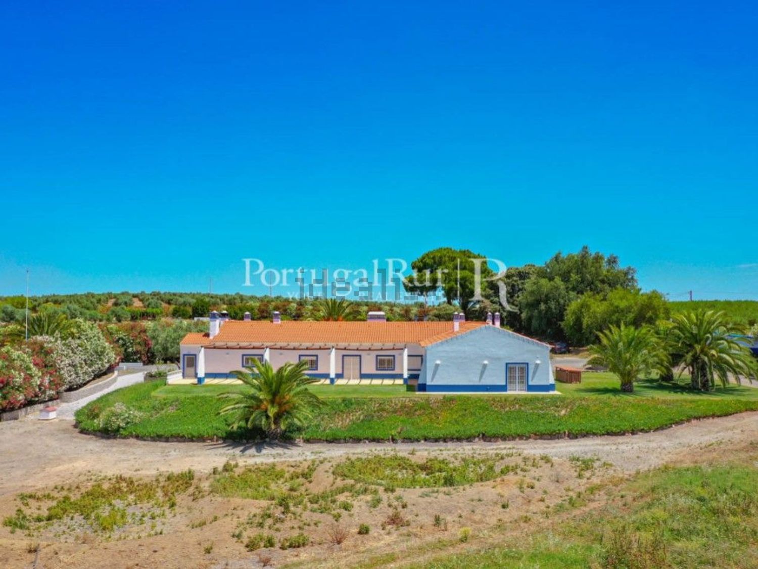 农庄出售在Ferreira do Alentejo - 外立面