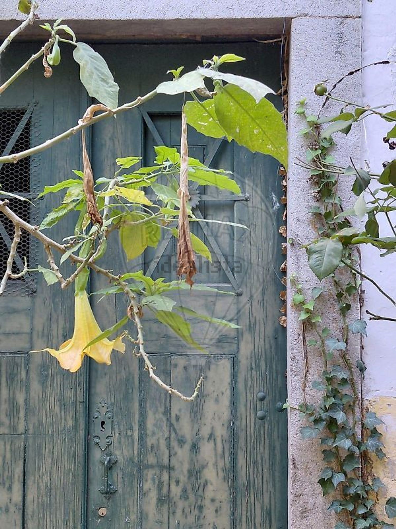 宫殿出售在Largo de São Domingues, 1 - 花园